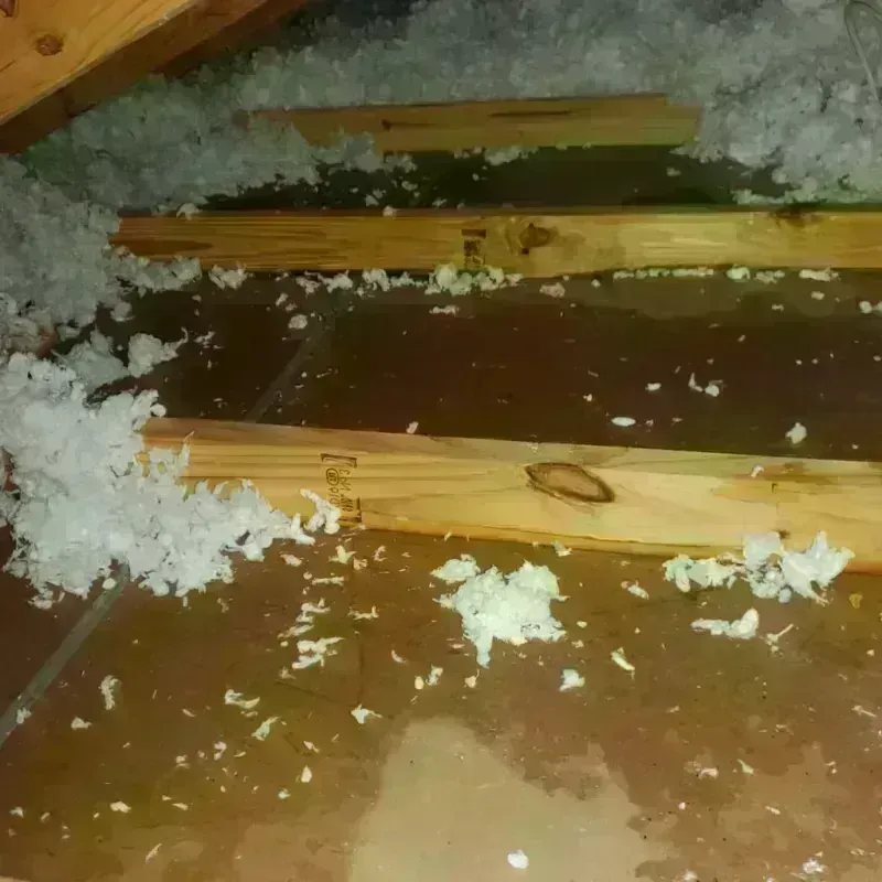 Attic Water Damage in Dover, PA